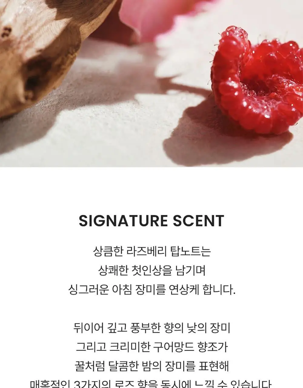 [NEW 시그니처]끌로에 로 드 퍼퓸 인텐스 EDP 30ml/50ml/50기획 상세페이지 6